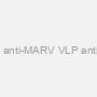 Rabbit anti-MARV VLP antiserum
